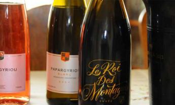 Article Papargyriou wine tasting Nafplio, Papargyriou winery, γευσιγνωσία Παπαργυρίου Ναύπλιο, Κτήμα Παπαργυρίου στο Mediterraneo Ναύπλιο
