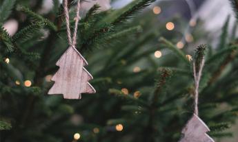 Article Nafplio Christmas tree 2019, Άναμμα δέντρου Χριστουγέννων 2019 Ναύπλιο