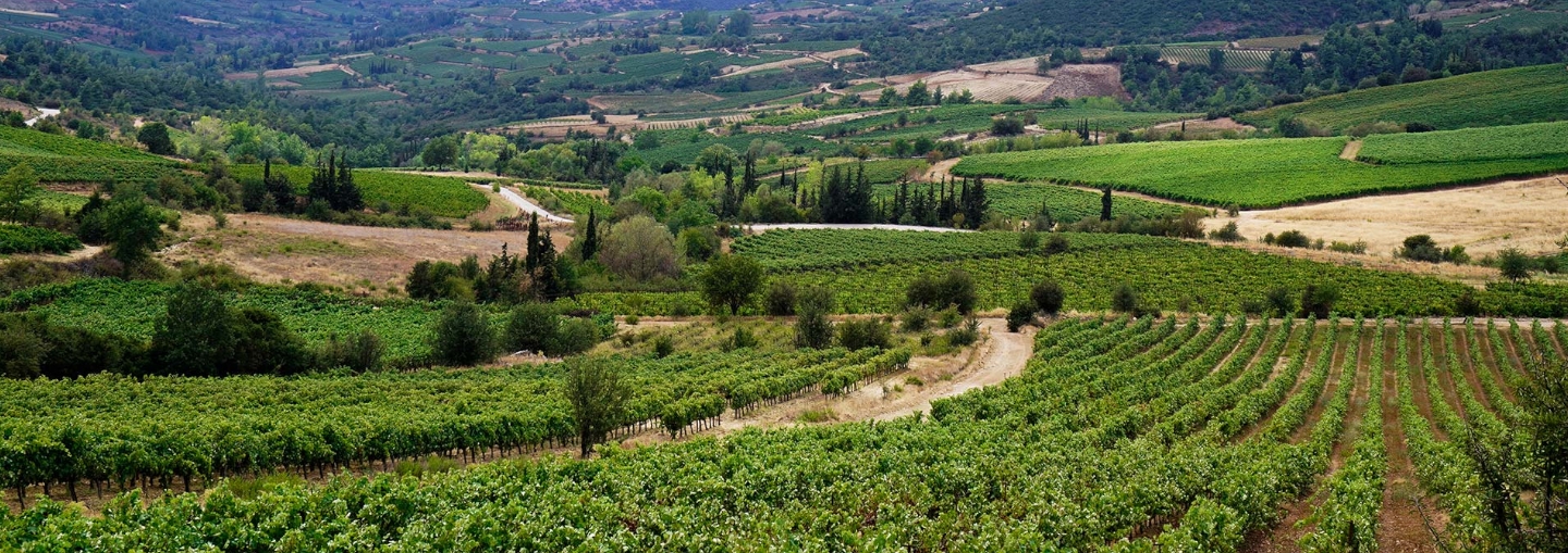 Nemea Wine Land