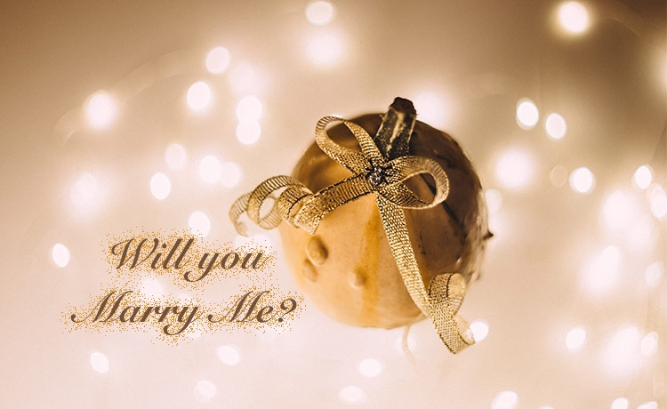 Wedding Proposal Christmas